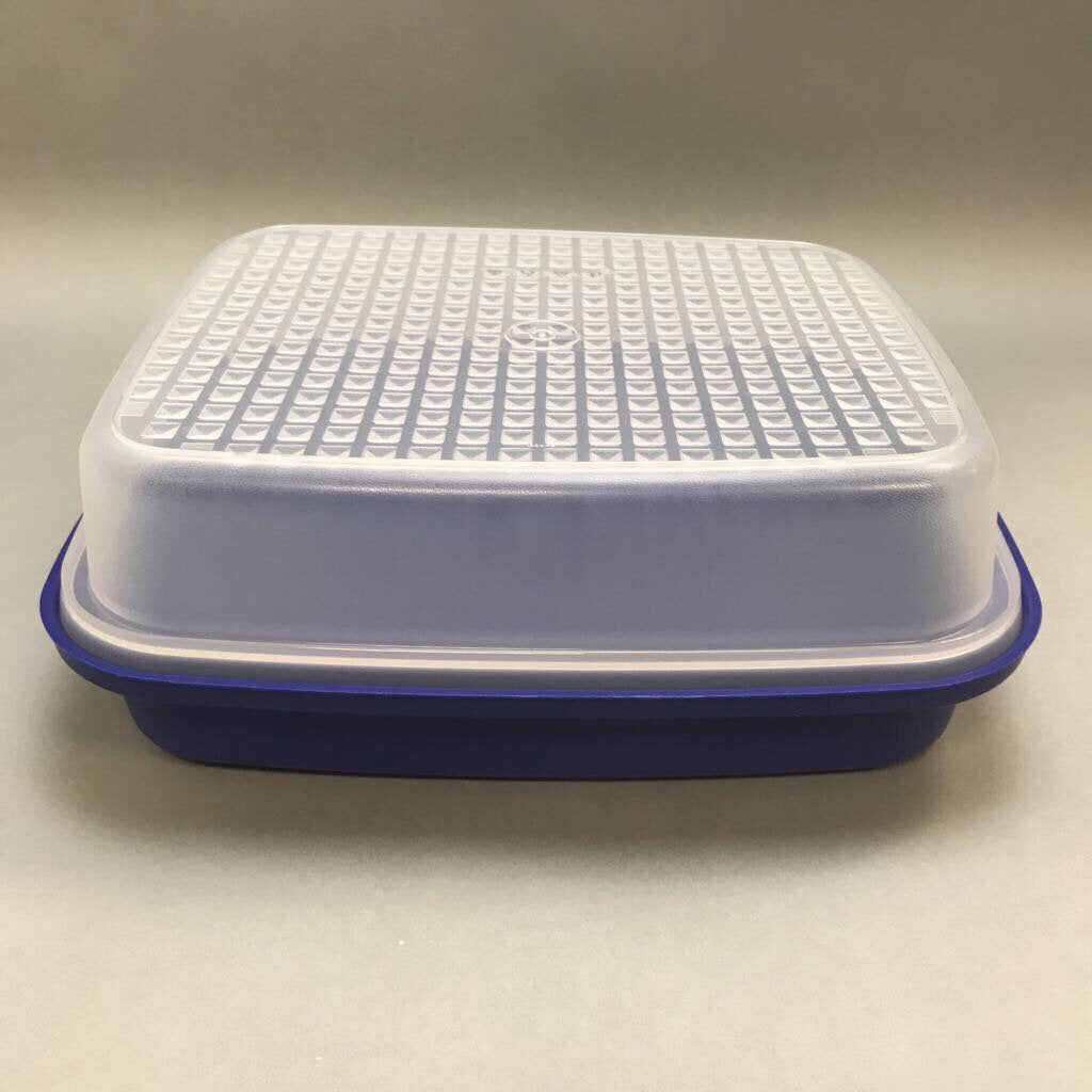 Vintage Tupperware Season Serve Blue Meat Marinade Container With Lid (10x8)