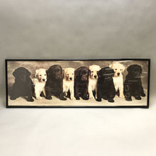 Load image into Gallery viewer, Framed Print - Labrador Puppies (12.5x36.5)
