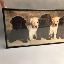 Load image into Gallery viewer, Framed Print - Labrador Puppies (12.5x36.5)
