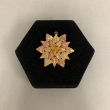 Load image into Gallery viewer, 10K Black Hills Yellow &amp; Rose Gold Leafy Round Pin (8.5g)
