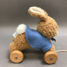 Load image into Gallery viewer, Eden Peter Rabbit Pull Toy (7x7x5)
