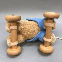 Load image into Gallery viewer, Eden Peter Rabbit Pull Toy (7x7x5)
