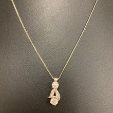 Load image into Gallery viewer, 14K White Gold Diamond 15&quot; Necklace &amp; Screw Back Earrings Set (5.6g)
