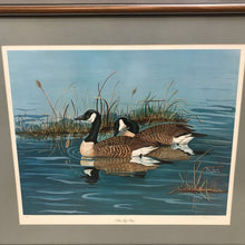 Load image into Gallery viewer, Framed Print, &quot;Side by Side&quot; Ducks in Lake; Paul David Schiffbauer (24x27.5)
