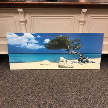 Load image into Gallery viewer, Framed Canvas Print of Island Scene (23x55)
