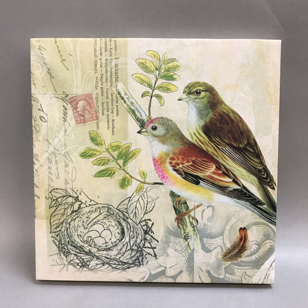 Birds, Postage Stamp, & Nest Canvas Print (12x12)