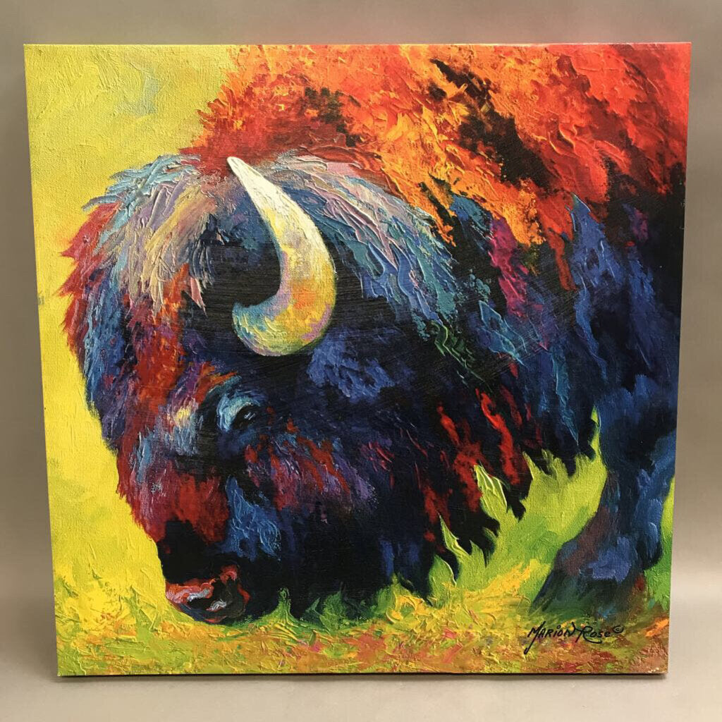 Canvas Print Buffalo (22x28)