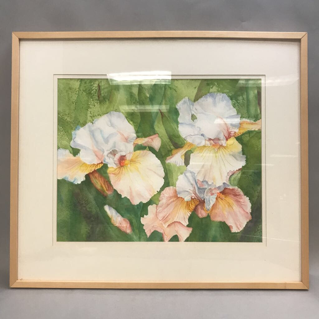 Framed Iris Water Color Print by Pat M. Towery (25x29)