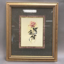 Load image into Gallery viewer, Gold Framed Signed &quot;Old Fashion Rose&quot; Print (16x15)
