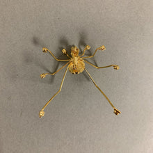 Load image into Gallery viewer, Pave Crystal Goldtone Spider Brooch Pin (2&quot;)
