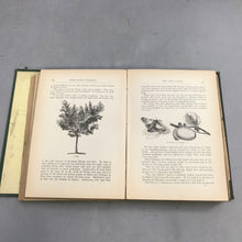 Load image into Gallery viewer, Antique 1888 Swiss Family Robinson Green Cover Book
