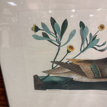 Load image into Gallery viewer, Hand-Colored Antique Duck Book Plate (20.5x25)

