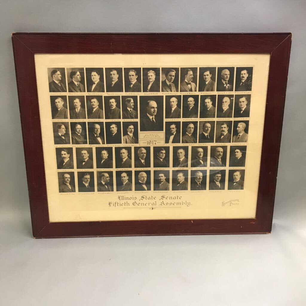 Illinois Fiftieth General Assembly 1917 (24x29)