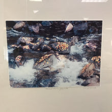 Load image into Gallery viewer, Signed Cheryl Quick Print - Merced River, Yosemite (16x20)
