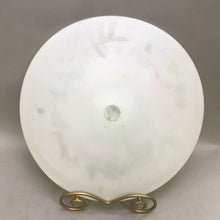 Load image into Gallery viewer, Vintage Hand Painted Plate (14&quot;)
