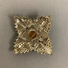 Load image into Gallery viewer, Vintage Dodds Aurora Borealis Rhinestone Faux Moonstone Brooch Pin (2")
