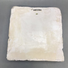 Load image into Gallery viewer, Fruit Resin Wall Art (11x10)
