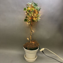 Load image into Gallery viewer, Light Up Faux Plant (28&quot;)
