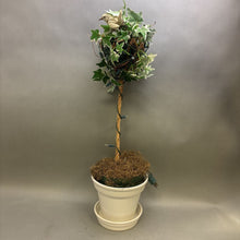Load image into Gallery viewer, Light Up Faux Plant (28&quot;)
