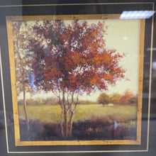 Load image into Gallery viewer, Jill Schultz McGannon Art In Motion Shadowbox Print - Landscape Shadows Detail (~15x15)
