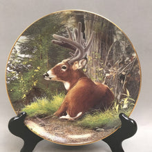 Load image into Gallery viewer, Summer Velvet by Bob Travers Collecter Plate (8&quot;)
