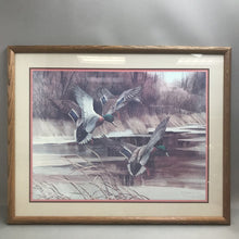 Load image into Gallery viewer, Framed Mallard Ducks Print by Charles E. Murphy (23x29)
