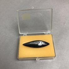 Load image into Gallery viewer, Cephalopod Fossil, Northern Africa (2 1/8&quot;)
