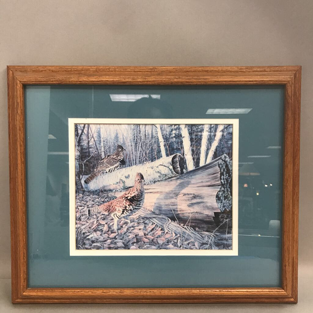 Ruffed Grouse Framed Print (22.5inx18.5in)