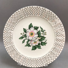 Load image into Gallery viewer, Homer Laughlin Hale-22 K Gold Filagree Dinner Plate (9.25&quot;)(2 Available)
