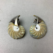Load image into Gallery viewer, Sterling Tipped Nautilus Shell 1.75&quot; Stud Earrings (As-Is)
