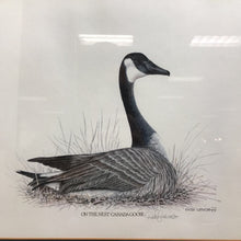 Load image into Gallery viewer, Dick Lynch Signed, Framed Print - &quot;On The Nest, Canada Goose&quot; w/ Stamp) (20x22)
