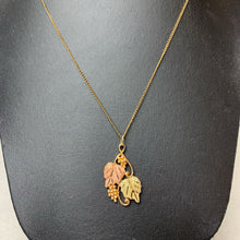 Load image into Gallery viewer, 10K Black Hills Gold Pendant on Gold Filled 19&quot; Chain &amp; Hook Earrings Set (5.6g)
