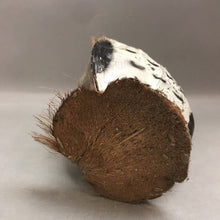 Load image into Gallery viewer, Vintage Carved Coconut Owl Shell Handmade Sculpture (9&quot;)
