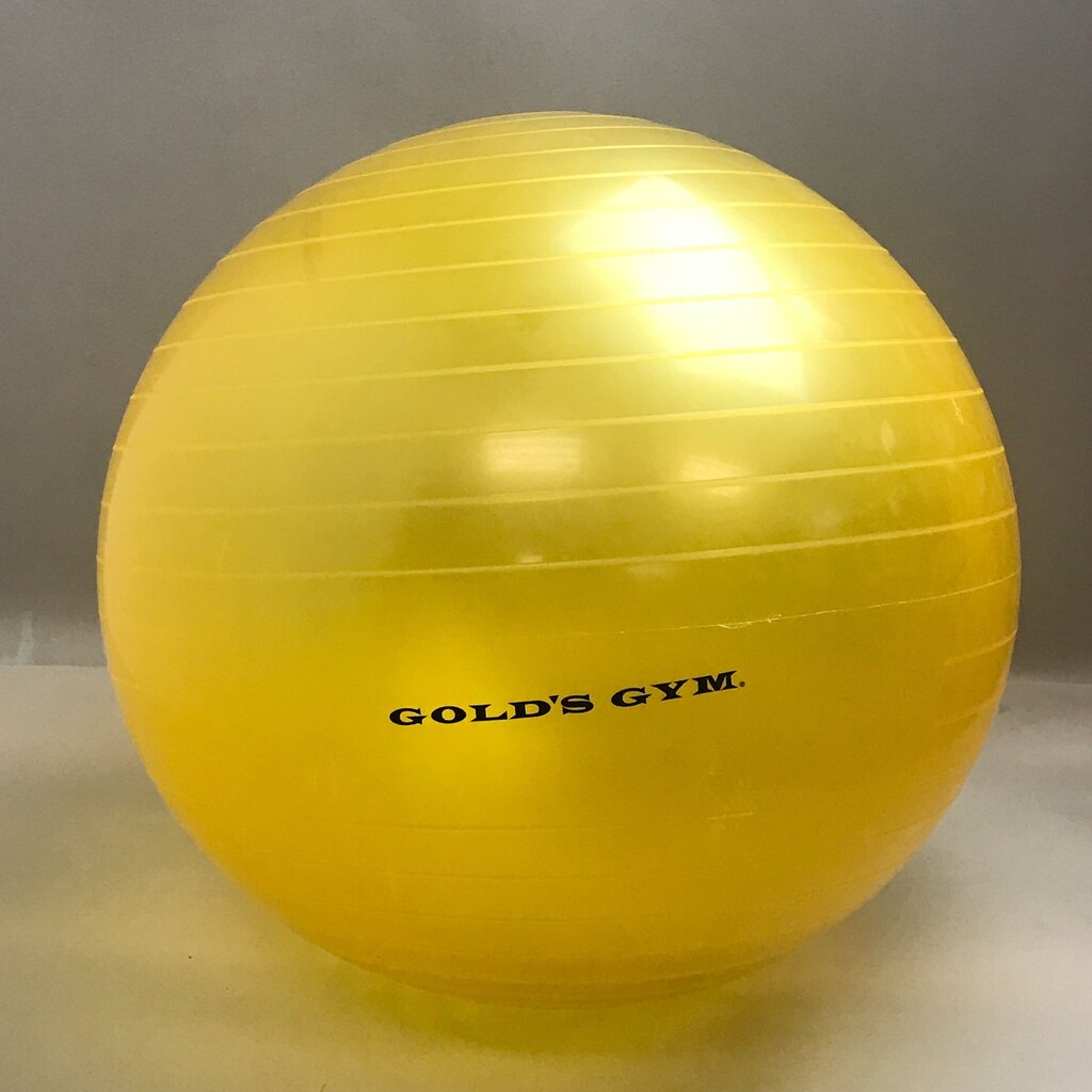 Gold's Gym Exercise Ball (~20
