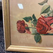 Load image into Gallery viewer, Antique Yard Long of Roses Framed Lithograph By Newton Alonzo (11x37)
