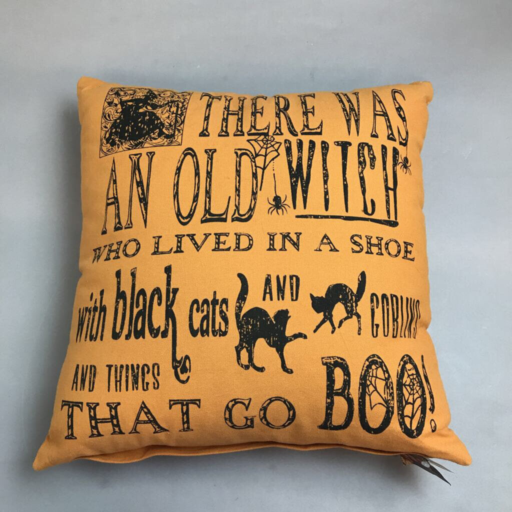 Bethany Lowe Halloween Pillow (~17x17)