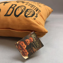 Load image into Gallery viewer, Bethany Lowe Halloween Pillow (~17x17)
