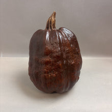 Load image into Gallery viewer, Dried Pumpkin Decor (~8x14x9)
