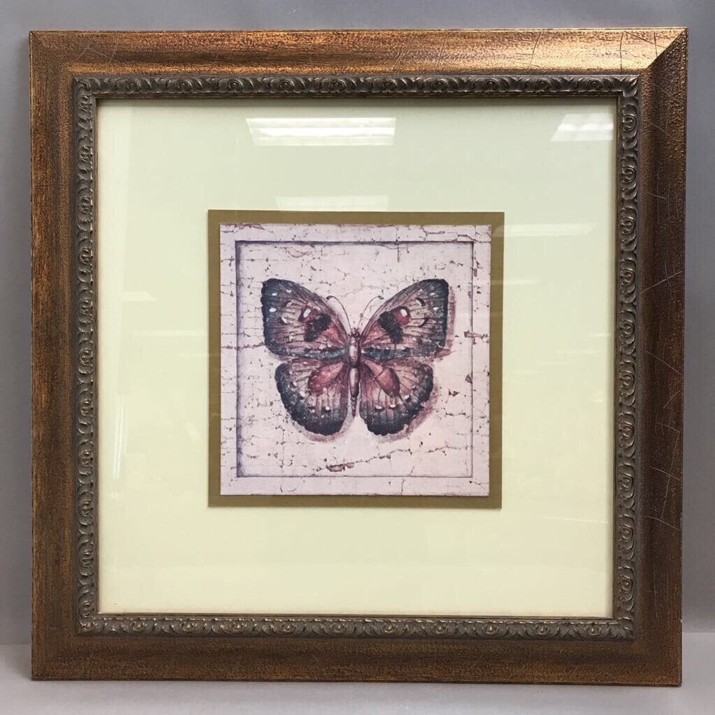 Gold Framed Butterfly Print (23x23)(2 Available)