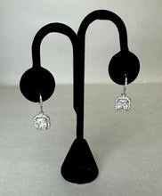 Load image into Gallery viewer, Sterling Princess Cut Halo Cubic Zirconia Earrings

