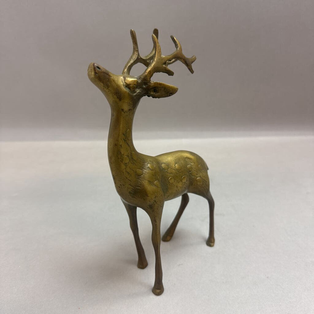 Brass Deer Buck (8.5