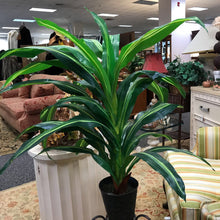 Load image into Gallery viewer, Faux Potted Palm (52&quot;)
