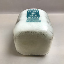 Load image into Gallery viewer, Velvet Milk 1 Gallon Milk Bottle (12&quot;)
