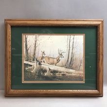 Load image into Gallery viewer, Framed Whitetail Deer Buck &amp; Doe Print (14x18)
