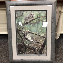 Load image into Gallery viewer, Alan Hunt &quot;Adventurers&quot; Clouded Leopard Cubs Print (43x33)
