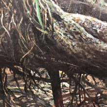 Load image into Gallery viewer, Alan Hunt &quot;Adventurers&quot; Clouded Leopard Cubs Print (43x33)
