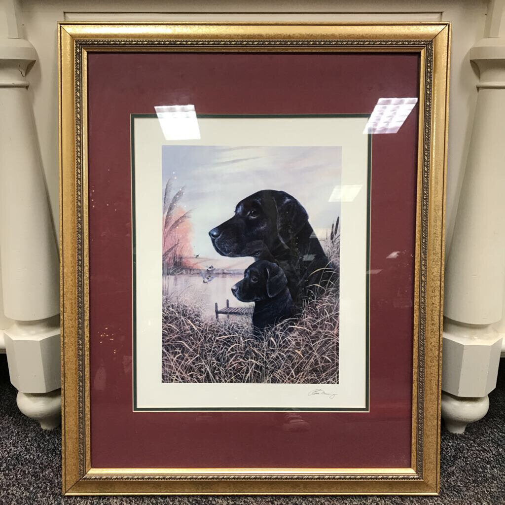 Framed Black Lab Dog & Mallard Ducks Ruane Manning Matted Print (32x26)