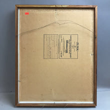 Load image into Gallery viewer, Framed White Cascade Oil Painting by Ginny Morris (21x17)
