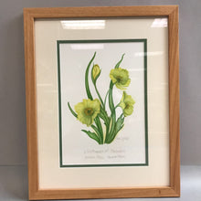 Load image into Gallery viewer, Helen K. Jones Framed Wall Art

