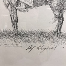 Load image into Gallery viewer, Signed Olaf Wieghorst Pen &amp; Ink Reproduction Print - Cowboy on Horse (~21x21)
